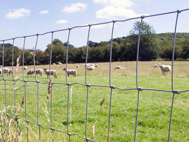 Grassland Fence