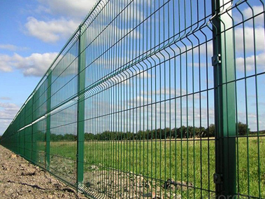 Welded Wire Mesh Fence